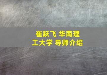 崔跃飞 华南理工大学 导师介绍